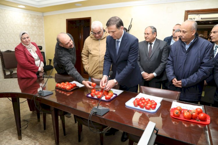 استنباط ٨ أصناف جديدة من تقاوي الطماطم