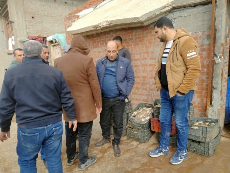 بيطرى كفرالشيخ :ضبط ٣ طن أسماك سنفر  غير صالحة للاستهلاك الادمى بفوة