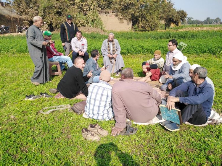 الزراعة تتابع حملة مكافحة حشائش القمح على مستوى الجمهورية