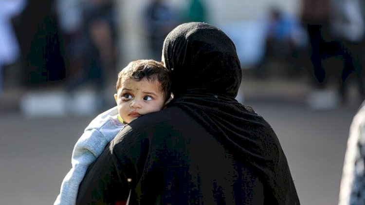 ٢٠٢٥ . . عام تتجمد فيه شجرة حياة أطفال غزة الخضراء
