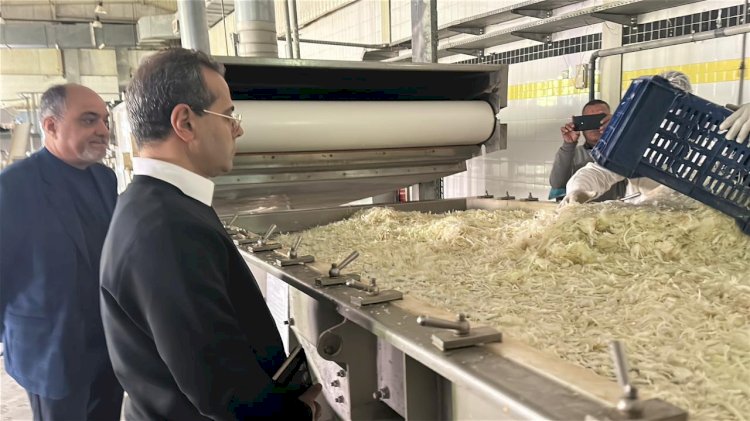 الزراعة تتابع مصنع تجفيف البصل بالمنيا