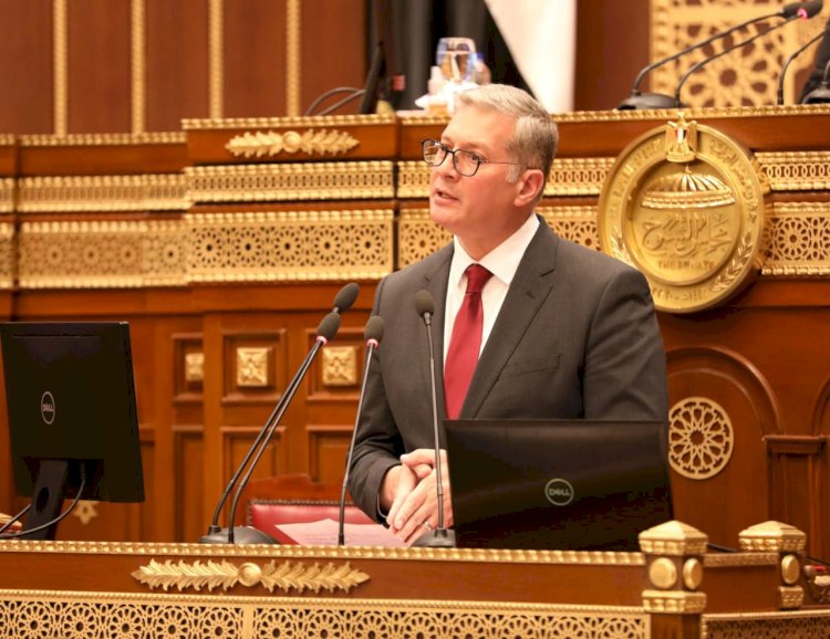 بدوي امام مجلس الشيوخ: اطلاق بوابة التعدين الرقمية العام الحالي 2025