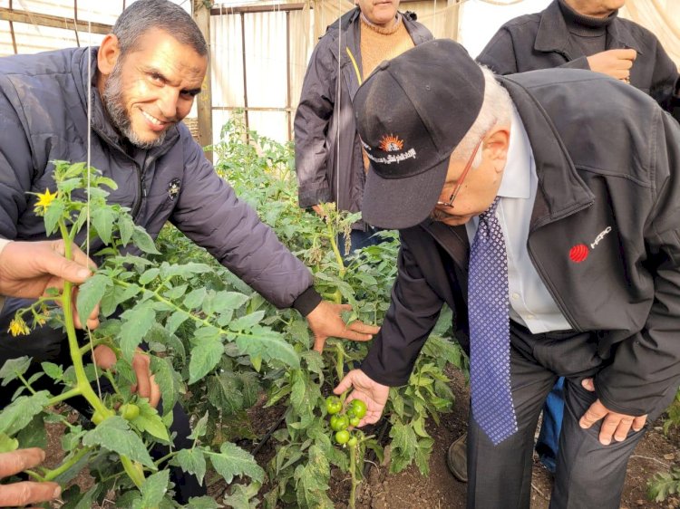 بالصور- الاتحاد العام لمنتجي الحاصلات البستانية يتابع الصوب الزراعية