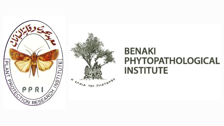 البحوث الزراعية يعزز التعاون العلمي مع دول حوض البحر الأبيض المتوسط