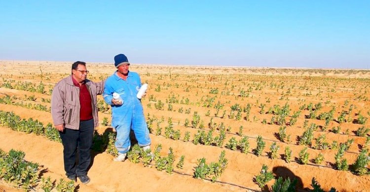 حملة اسأل واستشير تواصل أنشطتها في التجمعات الزراعية بسيناء