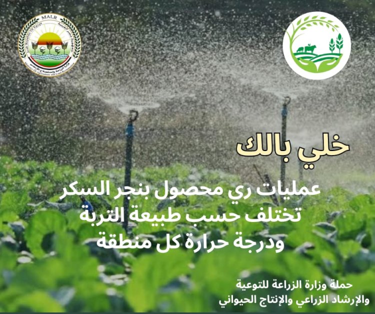 معاك في الغيط تنشر توصيات هامة لزيادة إنتاجية بنجر السكر