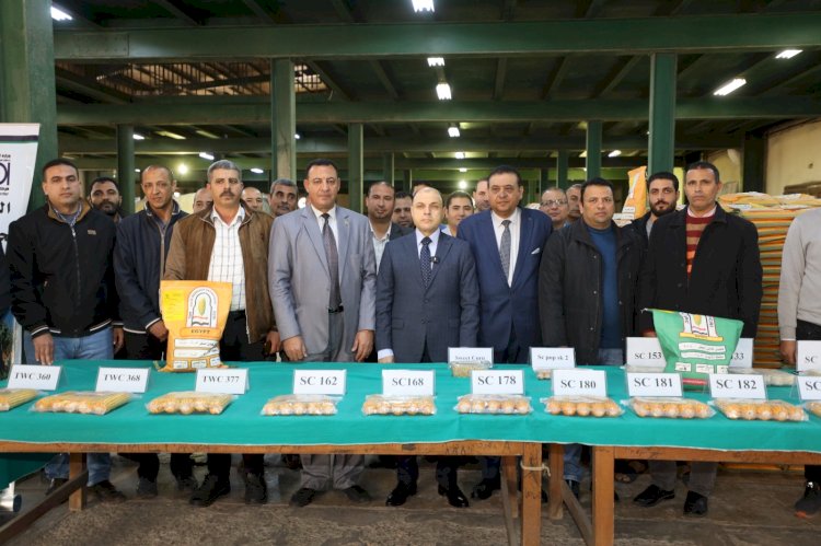 محافظ كفرالشيخ يؤكد دعمه الكامل للقطاع الزراعي على مستوى المحافظة