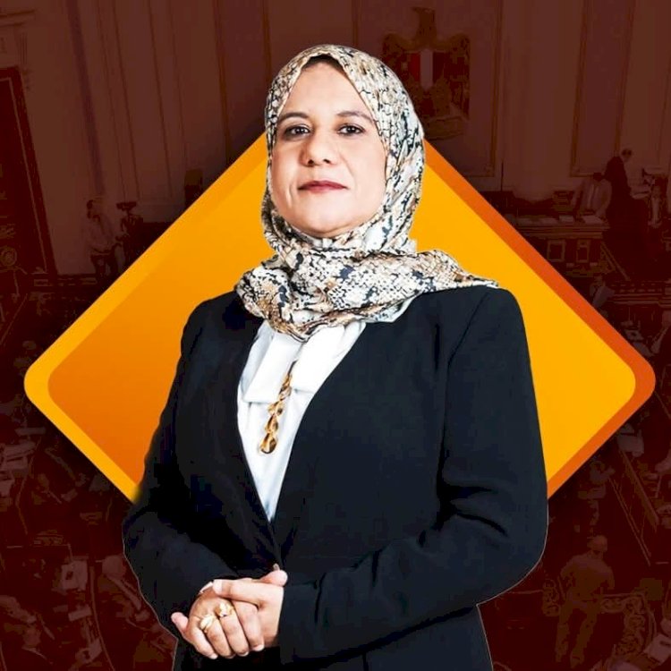 الهلالي تحل معضلة مرسي الجزيرة المستجدة بالمنشاة بسوهاج