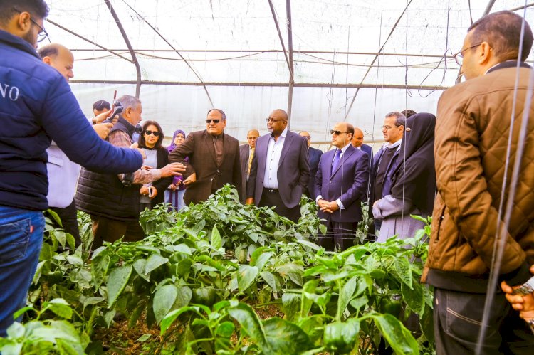 وزير الزراعة النيجيري يتفقد المشروعات الزراعية بمحافظتي كفر الشيخ والغربية