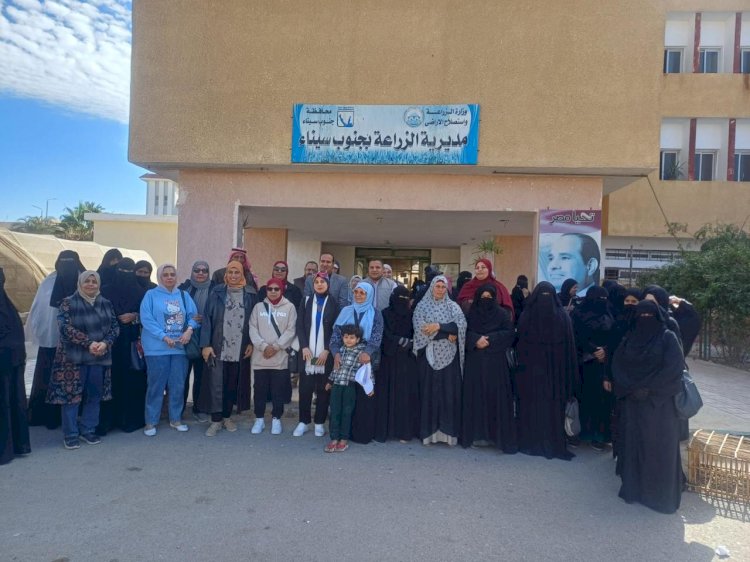 بحوث الصحراء يدعم سيدات جنوب سيناء بمشروعات الدواجن لتحسين دخل الأسرة