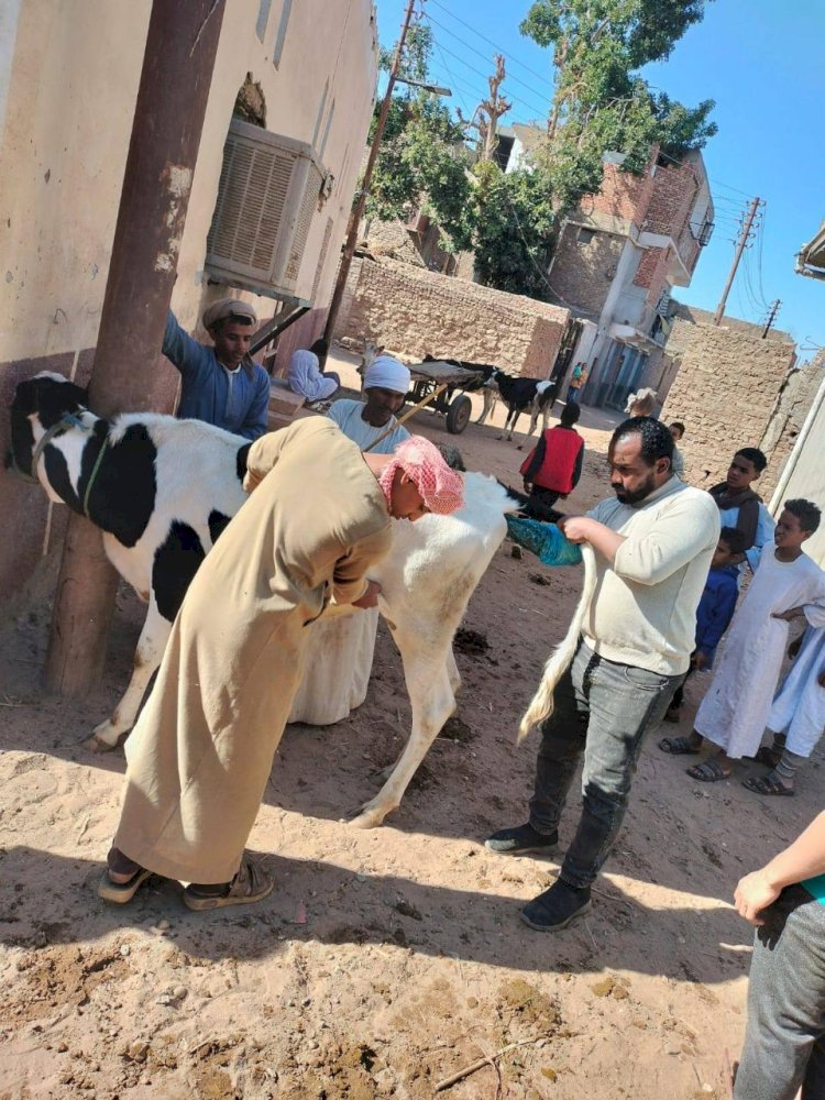 حصاد هيئة الخدمات البيطرية للحفاظ على الثروة الحيوانيّة خلال يناير 2025