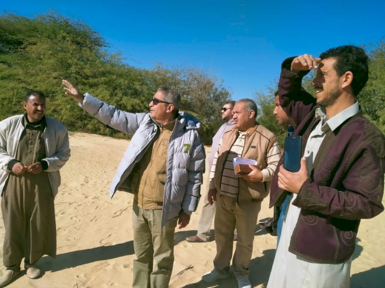 بحوث الصحراء يعزز جهود تطوير الزراعة في سيوة لمواجهة التحديات البيئية