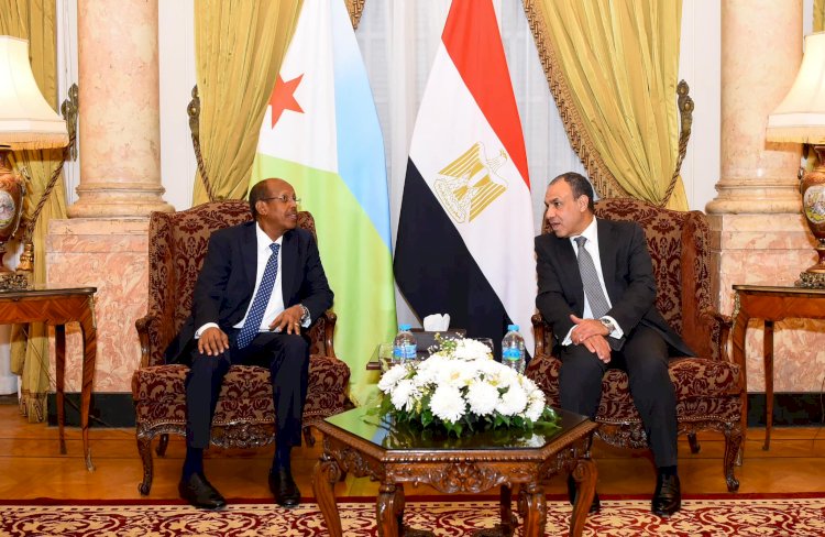 وزير الخارجية يعقد مشاورات سياسية مع وزير خارجية جيبوتي