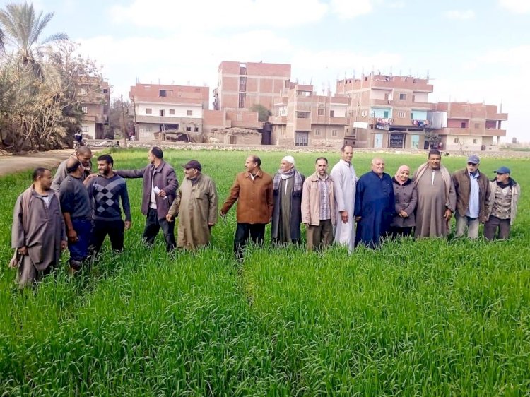 مركز البحوث الزراعية يواصل جهوده لدعم القطاع الزراعي