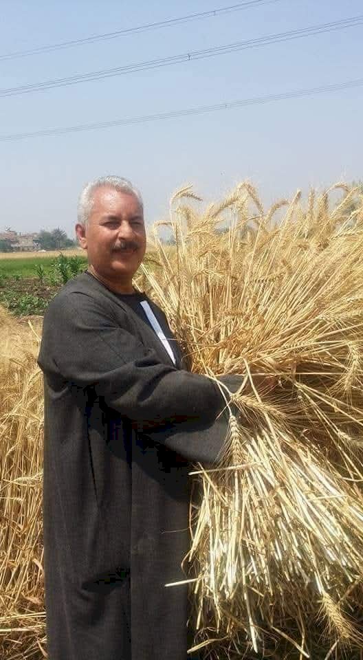 نقيب الفلاحين يحذر من ظاهرة انتشار الذئاب البريه  والثعالب بالوادي الجديد