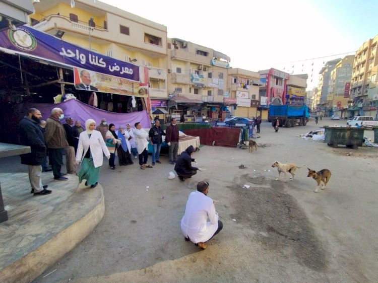 الزراعة برنامج تدريبي للسيطرة على الكلاب الضالة بشمال سيناء