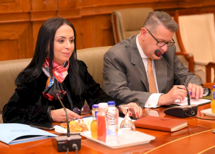 مرسي امام حقوق الانسان بمجلس النواب  ناقشت ما تم إنجازه في برنامج تكافل وكرامة