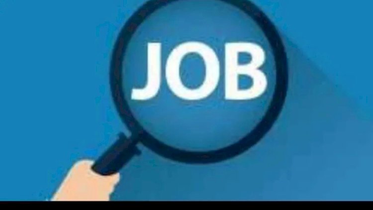 فتح باب الترشح لوظيفة مدير مستشفى في المنيا.. الشروط والأوراق