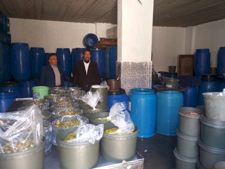 مديرية تموين كفرالشيخ يشن حملة كبرى على الأسواق وضبط مخالفات بالجملة