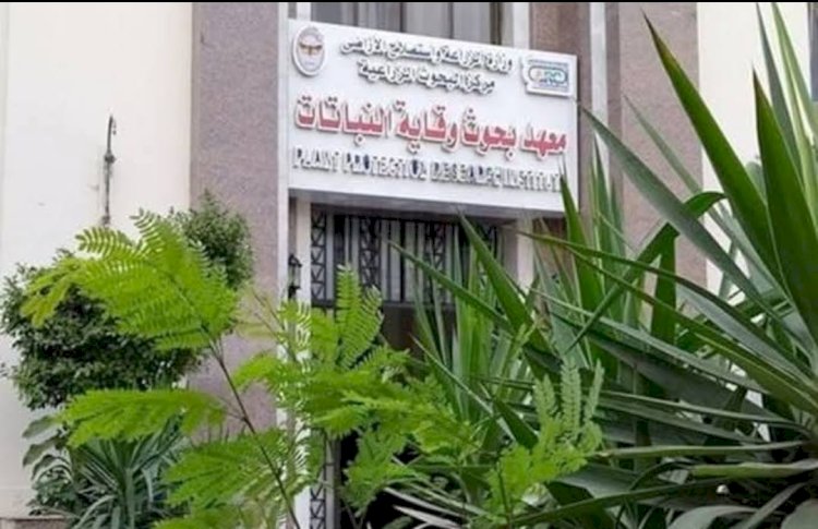 وقاية النباتات ينفذ برنامج تدريبي عن الإدارة المتكاملة لآفات النباتات