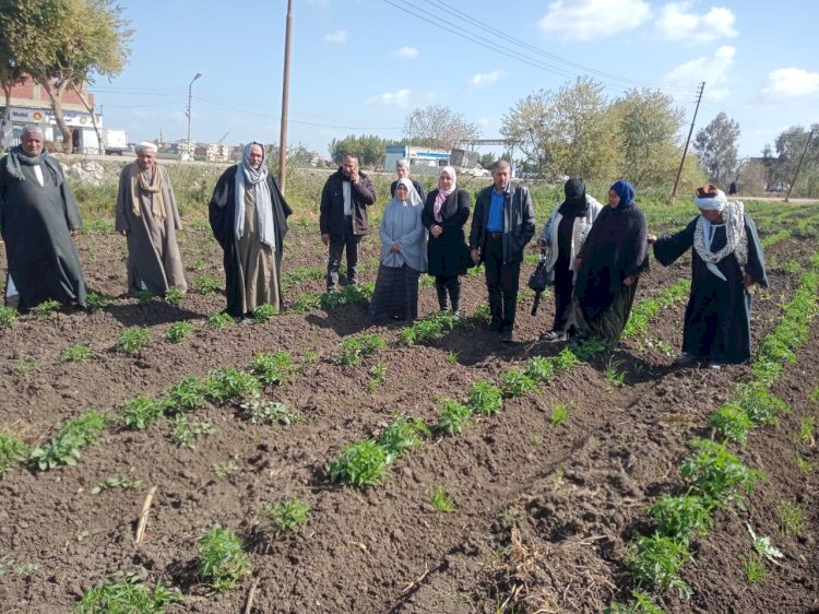 الزراعة تتابع المحاصيل الاستيراتيجية وتنمية القطاع الزراعي بمحافظة الشرقية