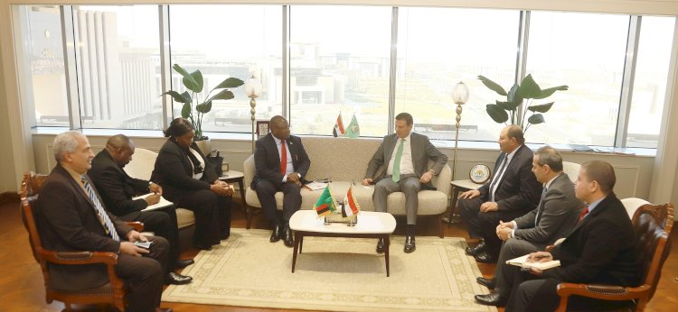 سفيرا استراليا وزامبيا يتفقدان قافلة المساعدات الإنسانية للاشقاء بقطاع غزة