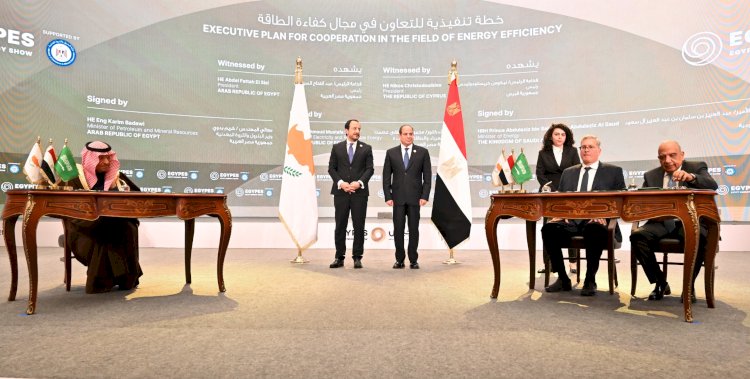السيسي ونظيره القبرصى يشهدان توقيع اتفاق تعاون في مجال الطاقة بين مصر والسعودية