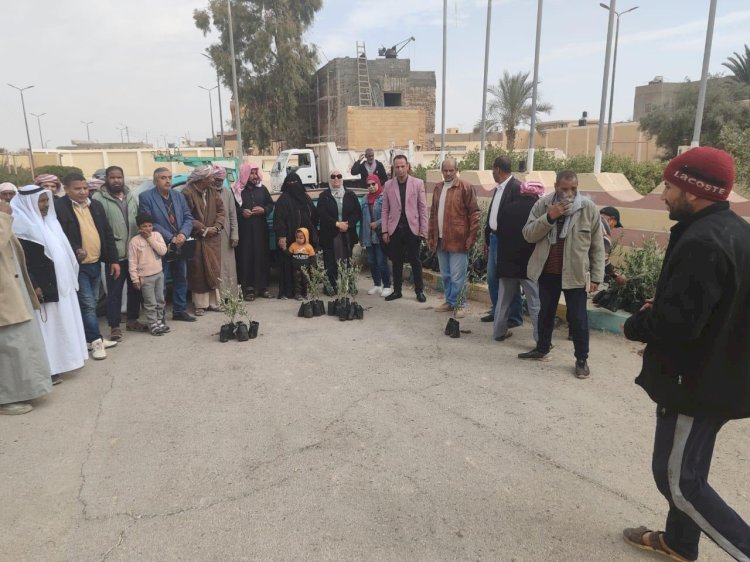 بحوث الصحراء يدعم مزارعي وسط سيناء بـ 5 آلاف شتلة زيتون