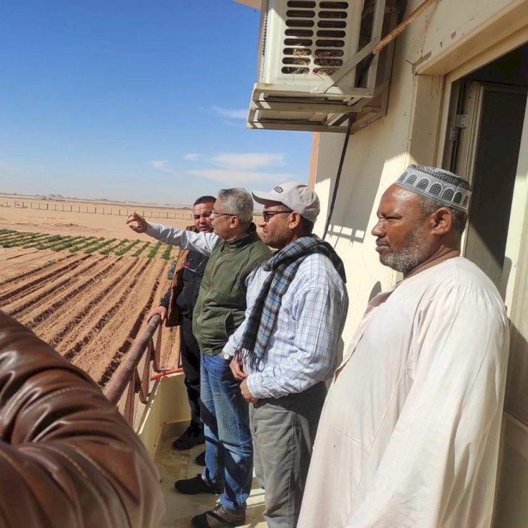 مركز بحوث الصحراء يتابع الأنشطة البحثية في محطة توشكي