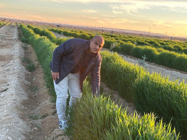 مركز بحوث الصحراء يواصل دعمه لكافة التجمعات الزراعية بسيناء