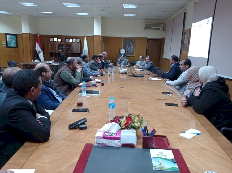 جامعة جنوب الوادي تنظم ورشة عمل لاستعراض أفكار المشروعات الابتكارية