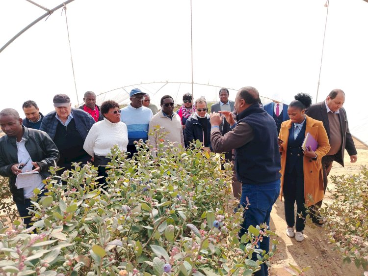وزيرا الثروة الحيوانية والري بزامبيا يتفقدان مزرعة تصدير الحاصلات البستانية بالنوبارية