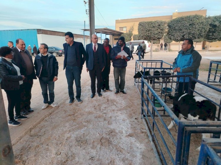 وزيرا الثروة الحيوانية والري الزامبين يتفقدان مزرعة الإنتاج الحيواني بالزراعة