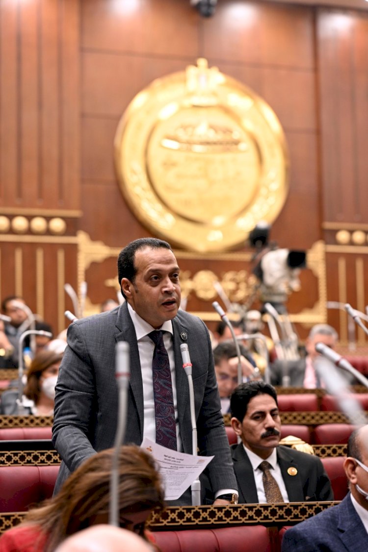 القمة العربية الطارئة في القاهرة لحظة حاسمة لدعم القضية الفلسطينية