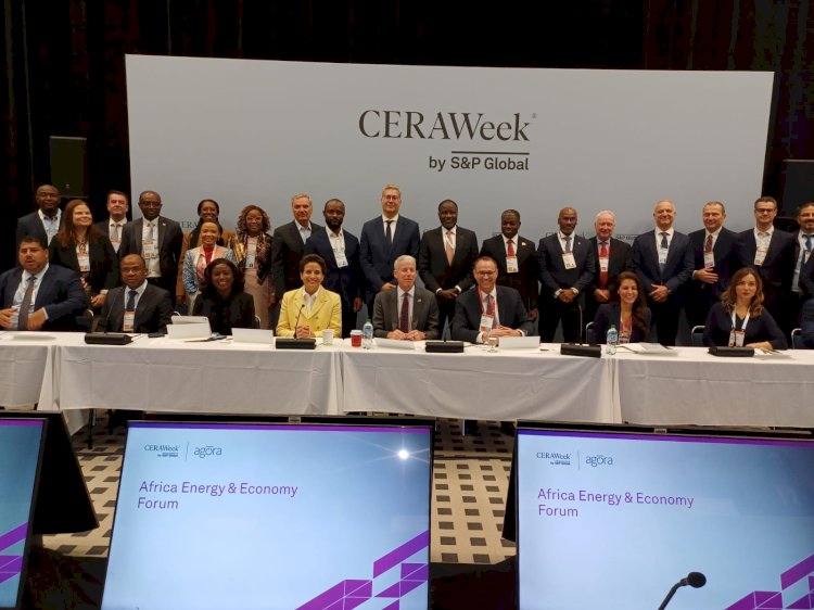 بدوى يشارك كمتحدث رئيسي في منتدى الطاقة والاقتصاد في أفريقيا بامريكا