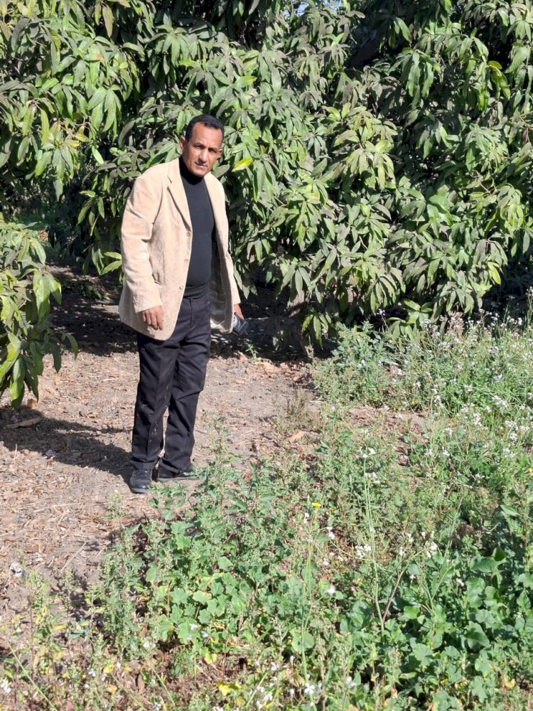 صوبة "همام" الذكية..معجزة التنمية الزراعية