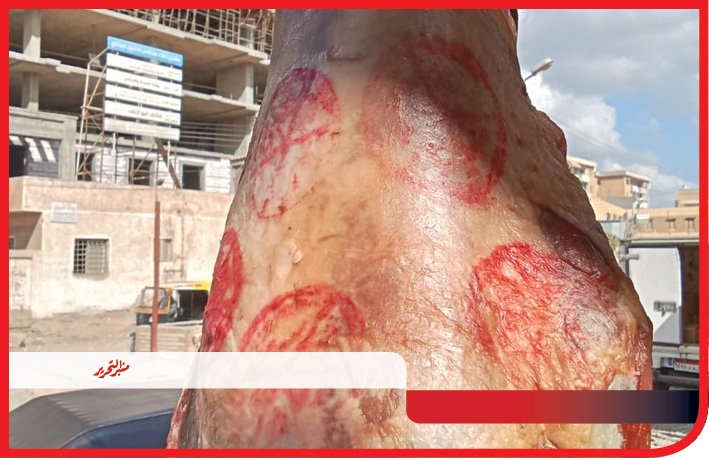 ضبط 417 كيلو لحوم غير صالحة للاستهلاك في حملات تفتيش بـ المنيا