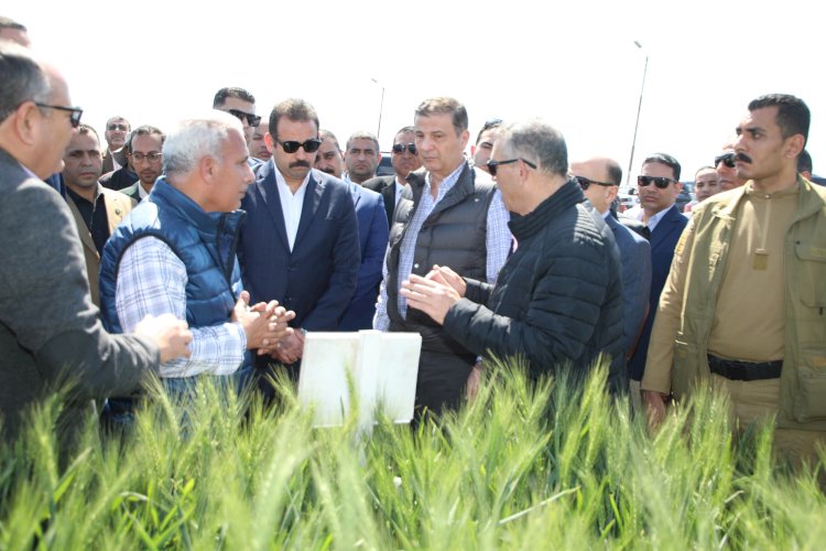 وزير الزراعة ورئيس جهاز مستقبل مصر والمحافظ يتفقدون الأنشطة الزراعية بكفر الشيخ