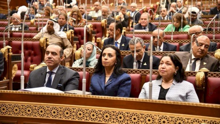 مايا تشارك في جلسة الشيوخ مستقبل  الحماية الاجتماعية من الاحتياج إلى التمكين