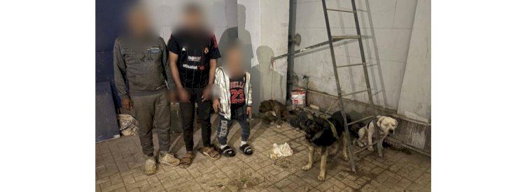 ضبط تجار الكلاب الشرسة بالقليوبية