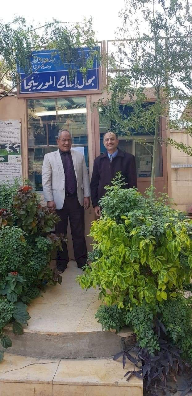 اعداد: مرتضي العمدة ..شجرة مستقبل الاقتصادالمصري من سيناء الي جميع انحاء العالم