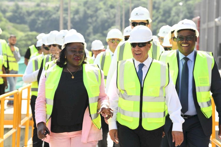 وزير الخارجية والهجرة يتفقد موقع سد "جوليوس نيريرى" بتنزانيا