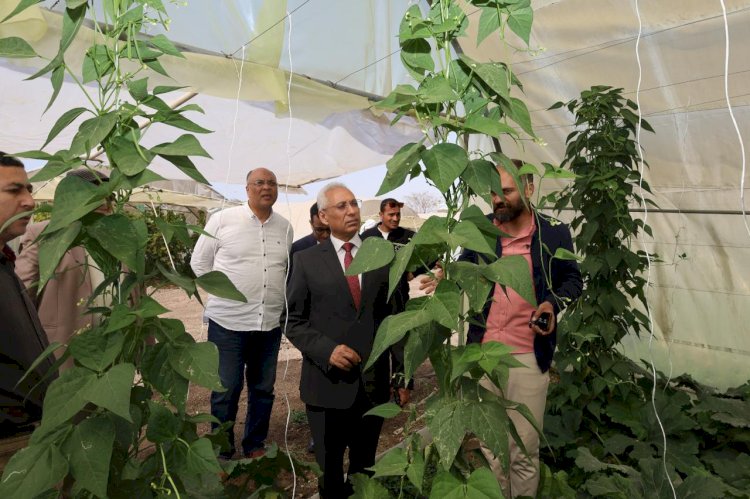 رئيس جامعة المنيا يتفقد المنتجات والمحاصيل الزراعية  بمشروع الصوب الزراعية