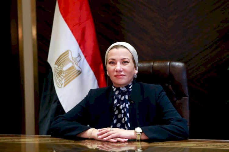  إنقاذ 4 سلاحف بحرية بمحمية أشتوم الجميل بدمياط