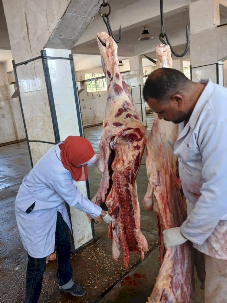 طوارئ في  الخدمات البيطرية استعدادًا لعيد الفطر