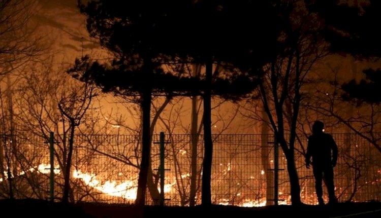 الله يرحم جدك.. كوريا الجنوبية: طقوس عند قبر عائلى وراء أكبر حريق غابات فى البلاد