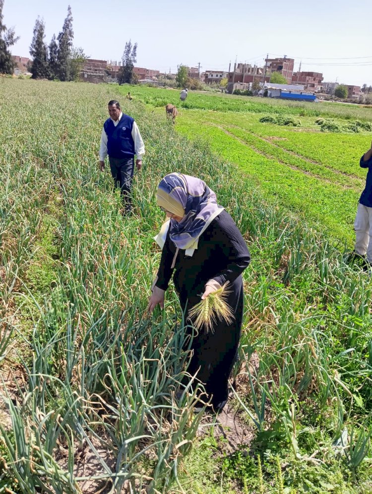 الإصلاح الزراعي يتابع إزالة التعديات ٢ في المحافظات
