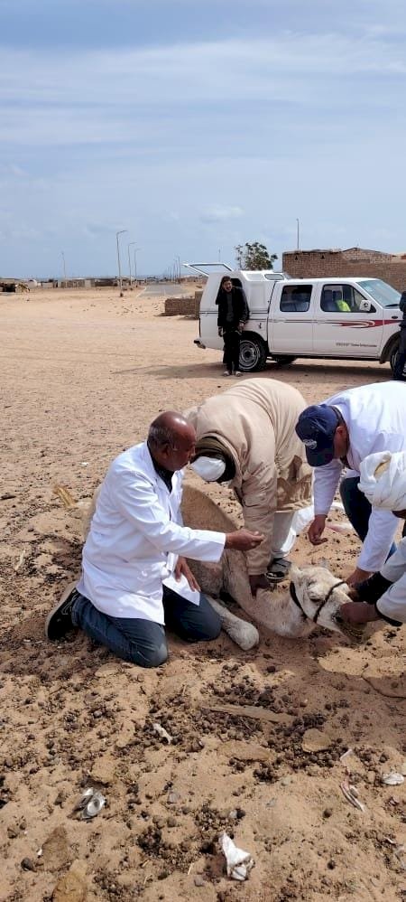 حصاد انشطة مركز بحوث الصحراء خلال مارس2025