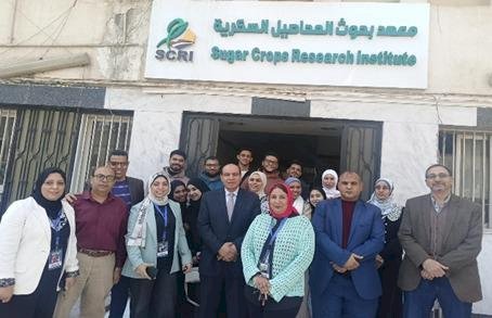 معهد بحوث المحاصيل السكرية يقدم أبحاث متقدمة وبرامج إرشادية لتعزيز الإنتاجية