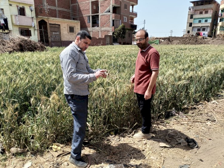 المركزية للإرشاد الزراعي نفذت  مجموعة من الأنشطة الزراعية خلال مارس 2025